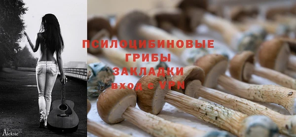 ешки Протвино