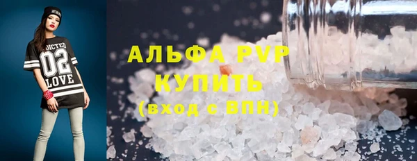 индика Баксан