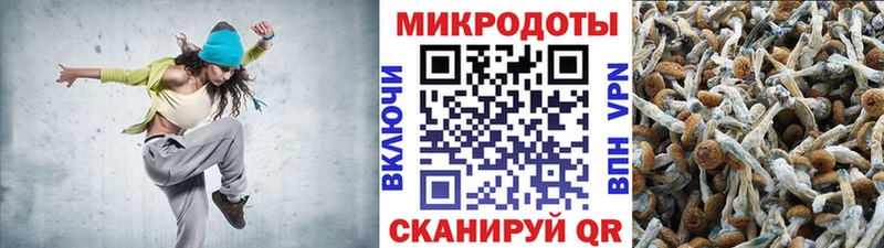 Псилоцибиновые грибы GOLDEN TEACHER  как найти закладки  blacksprut рабочий сайт  Верхнеуральск 